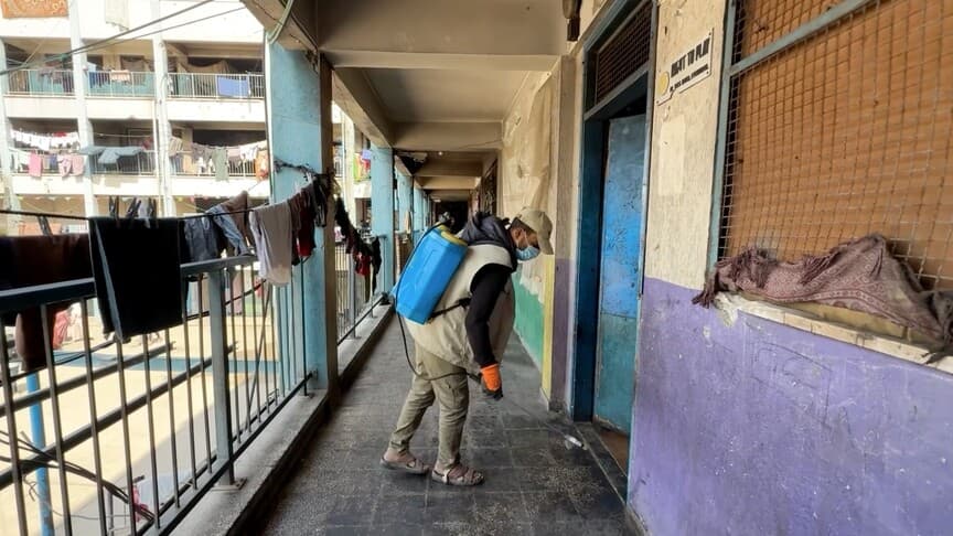 Gazze'de Yerinden Edilenler, Haşerelerle Mücadele Ediyor