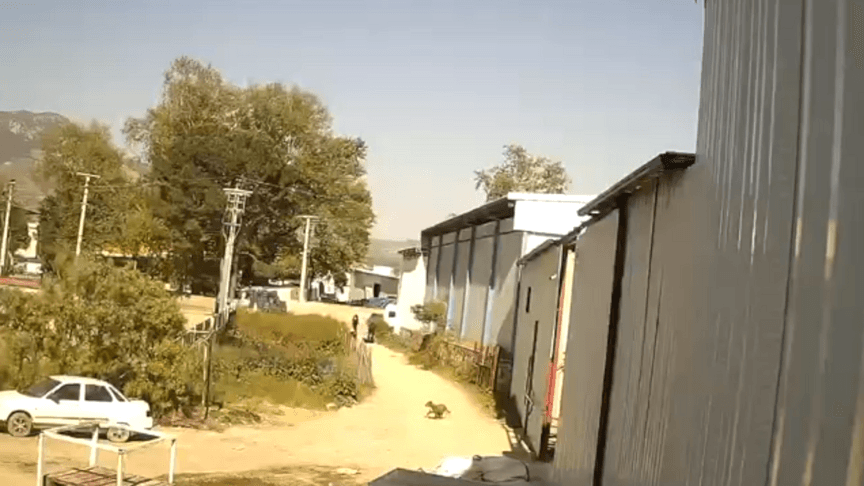 Bursa'da Avukat Silahlı Saldırı Sonucu Hayatını Kaybetti