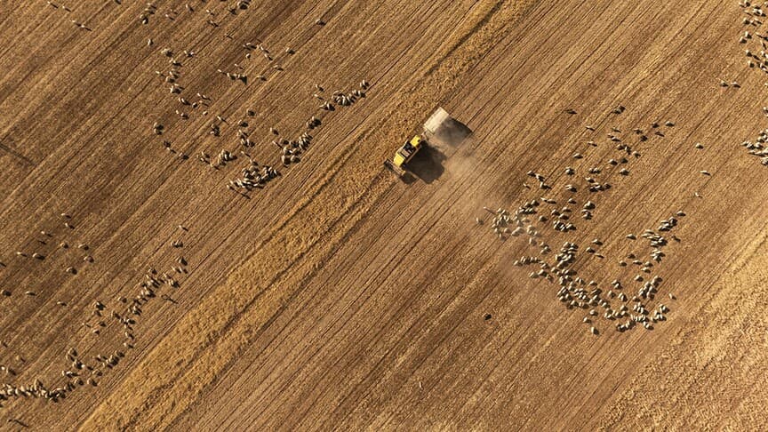 Kırsal Kalkınma Yatırım Programı 2026 Başvuruları Başladı